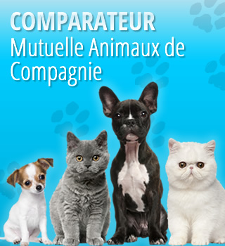 Comparateur Mutuelle Animaux de Compagnie