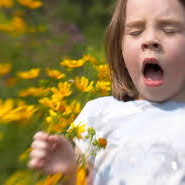 Le traitement des allergies et remboursement  de soins par les mutuelles santé