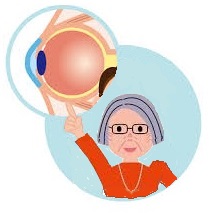 Santé des seniors :  la cataracte