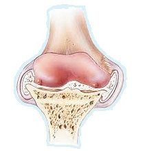 Arthrose chez les seniors : origines, facteurs de risque et impacts