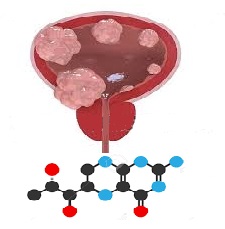 Mutuelle entreprise les maladies professionnelles dues aux amines aromatiques : tumeurs de la vessie