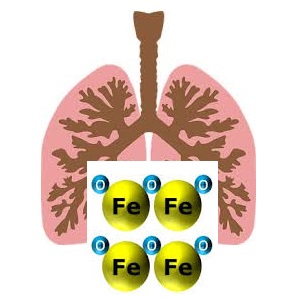 Mutuelle entreprise : les maladies professionnelles dues aux oxydes de fer