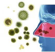 Mutuelle entreprise : les maladies professionnelles  dues aux allergènes respiratoires