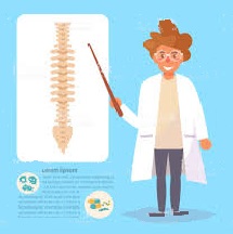Mutuelle pour profession libérale chiropracteur