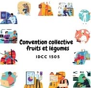 Mutuelle entreprise – Convention  collective fruits et légumes – IDCC 1505