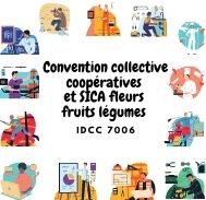 Mutuelle entreprise – Convention collective coopératives et SICA fleurs fruits légumes – IDCC 7006