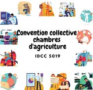 Mutuelle Convention collective chambres d'agriculture - IDCC 5019