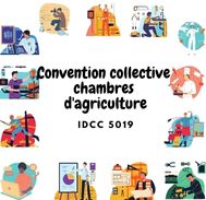 Mutuelle Convention collective chambres d'agriculture - IDCC 5019