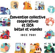 Mutuelle Convention collective coopératives et SICA bétail et viandes - IDCC 7001