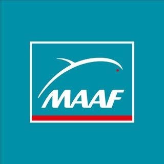 MAAF TNS : complémentaire santé VIVAZEN pour indépendants et professions libérales